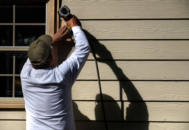Best Siding for Commercial Buildings  in Lumbine Valley, CO